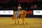 Quadrille - 00537